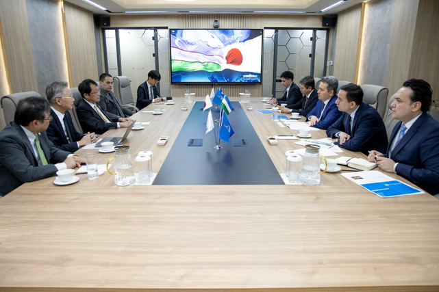 Uzbekistan and Japan discuss opportunities for joint projects and IT education programs