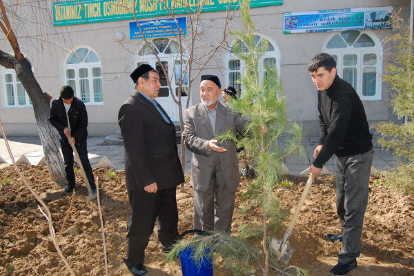 "Mahallabay" system of work is being introduced in Samarkand