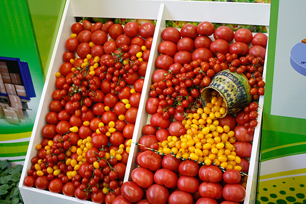Uzbekistan to attract a loan from ADB for construction of agro-logistics centers