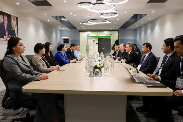 Uzbekistan and Tajikistan Expand Cooperation Between IT Parks