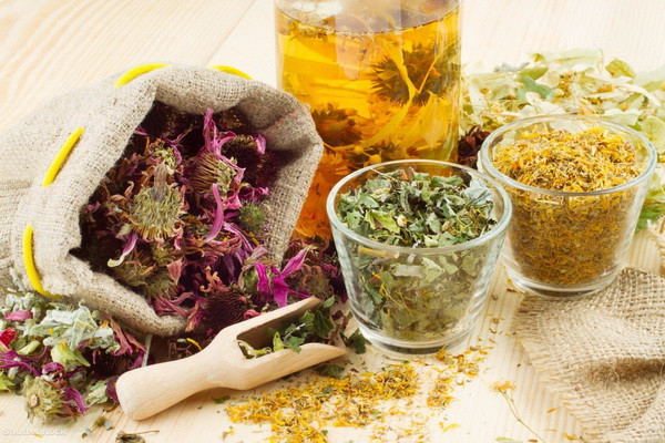 The first international exhibition of products from medicinal plants "Heritage of Abu Ali ibn Sina" takes place