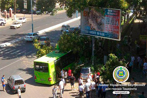 Bus crashed into tree in Tashkent