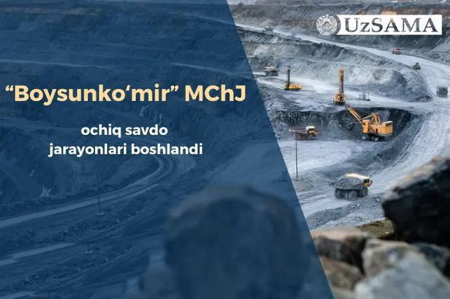 “Boysunkumir” MCHJdagi davlat ulushi bo‘yicha ochiq savdolar boshlandi