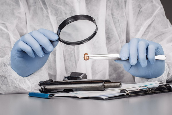 Information portal of the forensic sphere launched