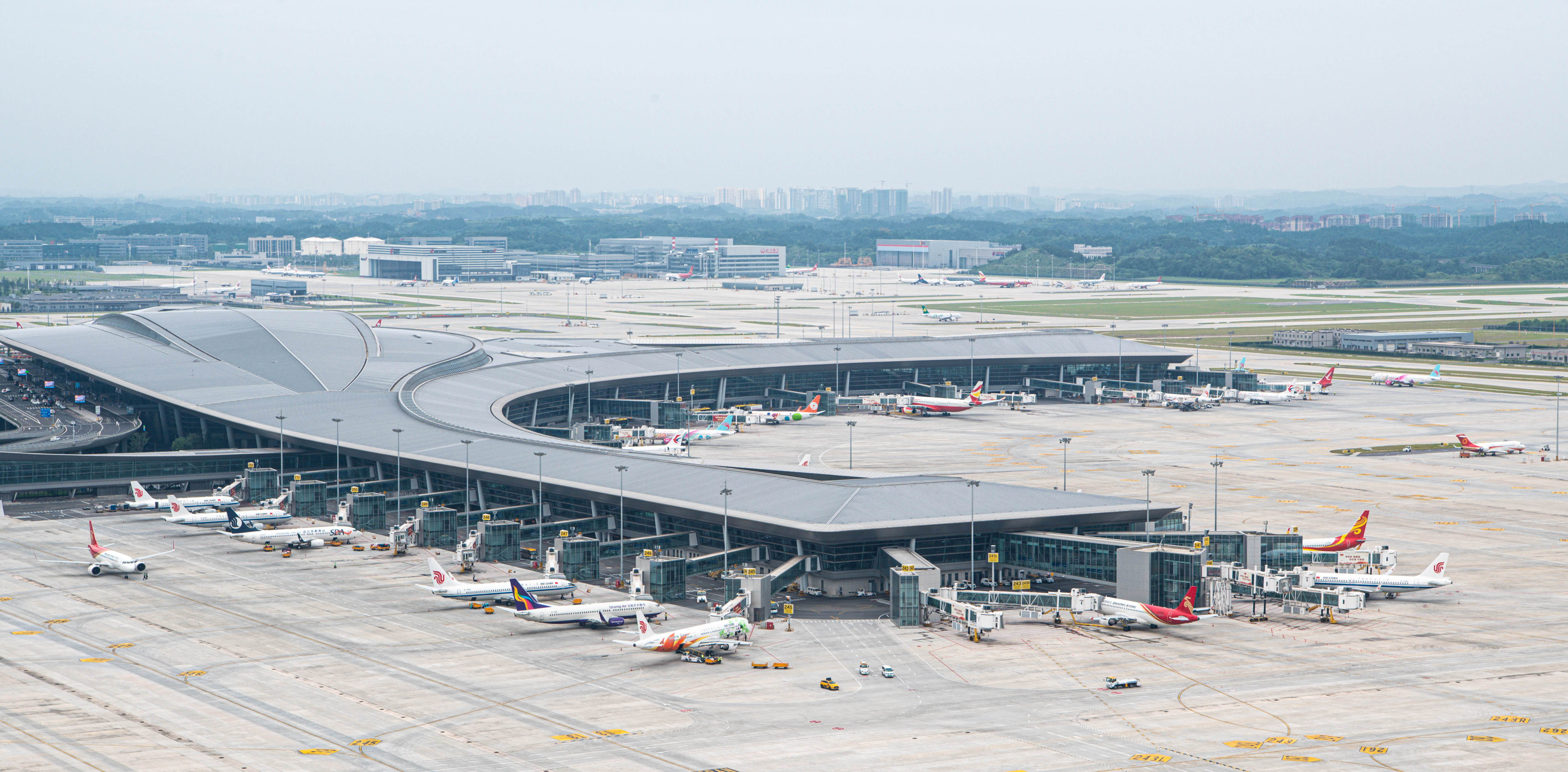 Nonstop in 11 Hours to the "City of Pandas": Chengdu Launches Direct Flights to Brussels