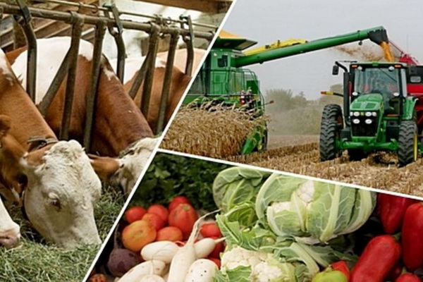 Poland expresses its support and readiness to assist in development of agricultural sector in Uzbekistan