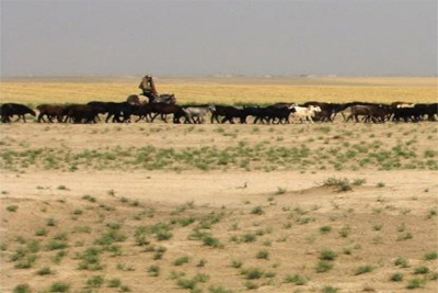 Scientists to discuss innovation for arid areas