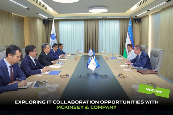 Exploring IT collaboration opportunities with McKinsey & Company