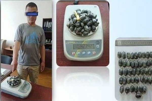 Customs officers found more than 423 grams of opium in the body of a drug courier