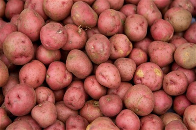 O‘zbekistonga qancha kartoshka import qilingan?