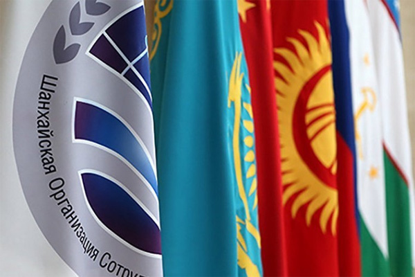 SCO National Coordinators discuss activities of organization