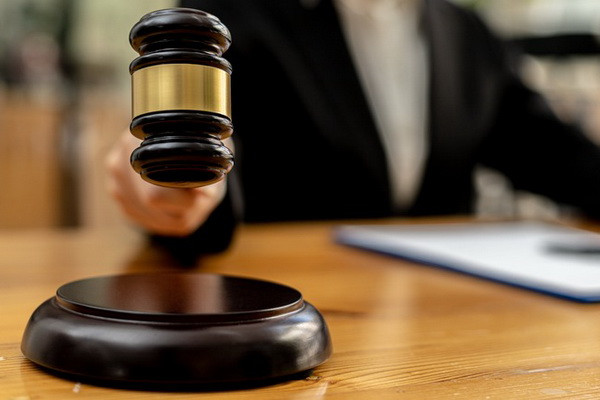 IMRI experts analyzed the volume of auction sales of non-agricultural land plots by type of use