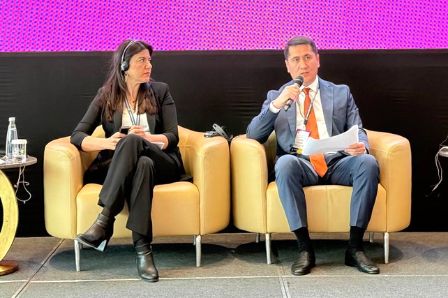 International conference on disaster risk financing kicks off in Istanbul