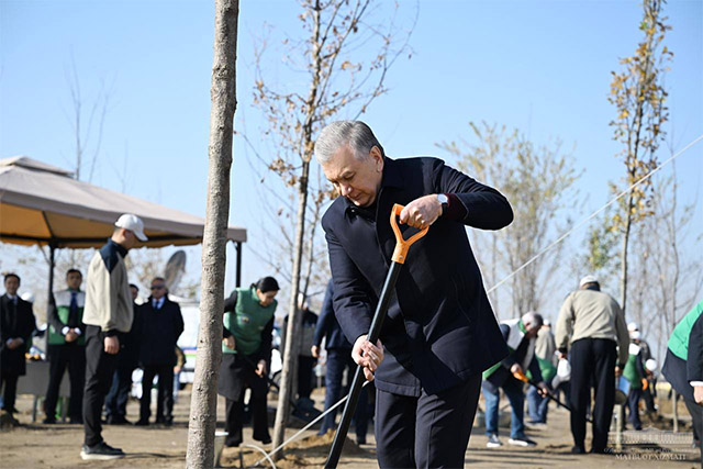 Shavkat Mirziyoyev yangi bogda daraxt ekti
