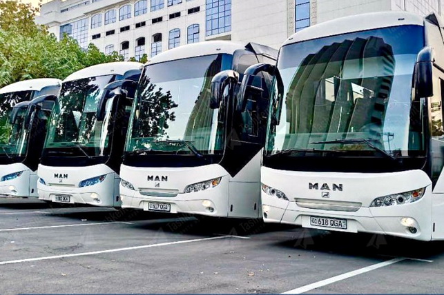 Night Tourist Bus Routes to Launch in Tashkent