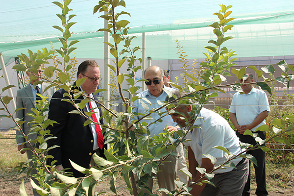 Demonstration apple orchard opens at the Ministry’s Agroinnovation Center