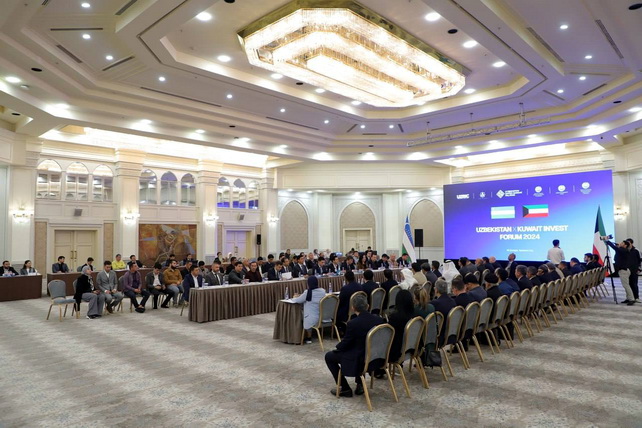 Kuwaiti businessmen to participate in the privatization program of over 1,000 state companies