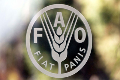 Uzbekistan, FAO sign cooperation agreement