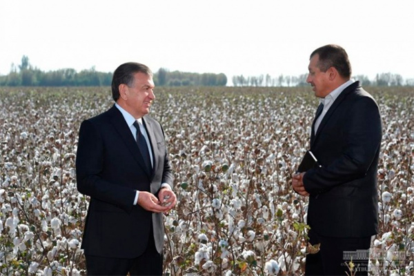 President meets with Tashkent region’s farmers