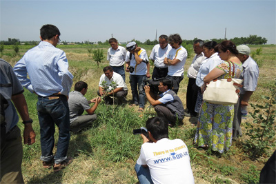 Establishment of pistachios plantations discussed in Andijan