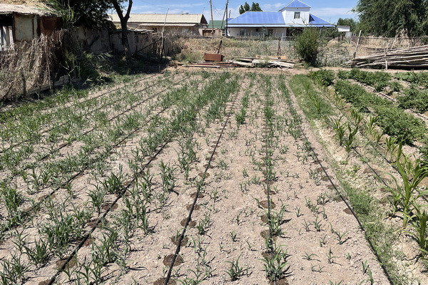 FAO implements water-saving technologies for rural residents in Aral Sea region