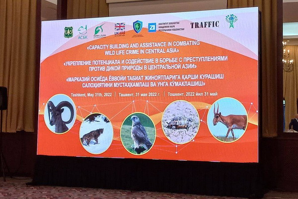 NCB Interpol took part in a seminar at a high level