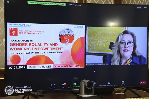 Issues of gender equality and empowerment of women discussed in the context of the COVID-19 pandemic