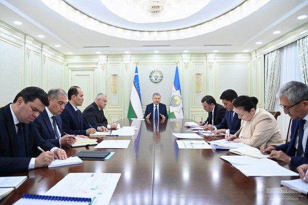 President chairs a meeting on the further development of the healthcare sector