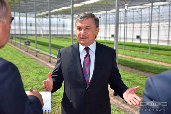 Uzbek leader pays visit to Beck Cluster in Syrdarya