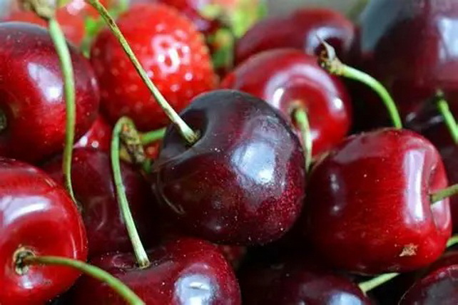 O‘zbekiston yetti oyda 25,2 ming tonna gilosni 51 million dollarlik hajmda eksport qildi